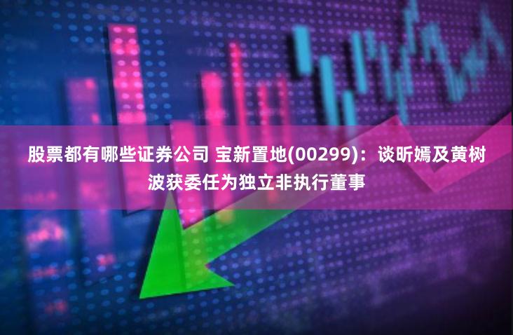 股票都有哪些证券公司 宝新置地(00299)：谈昕嫣及黄树波获委任为独立非执行董事