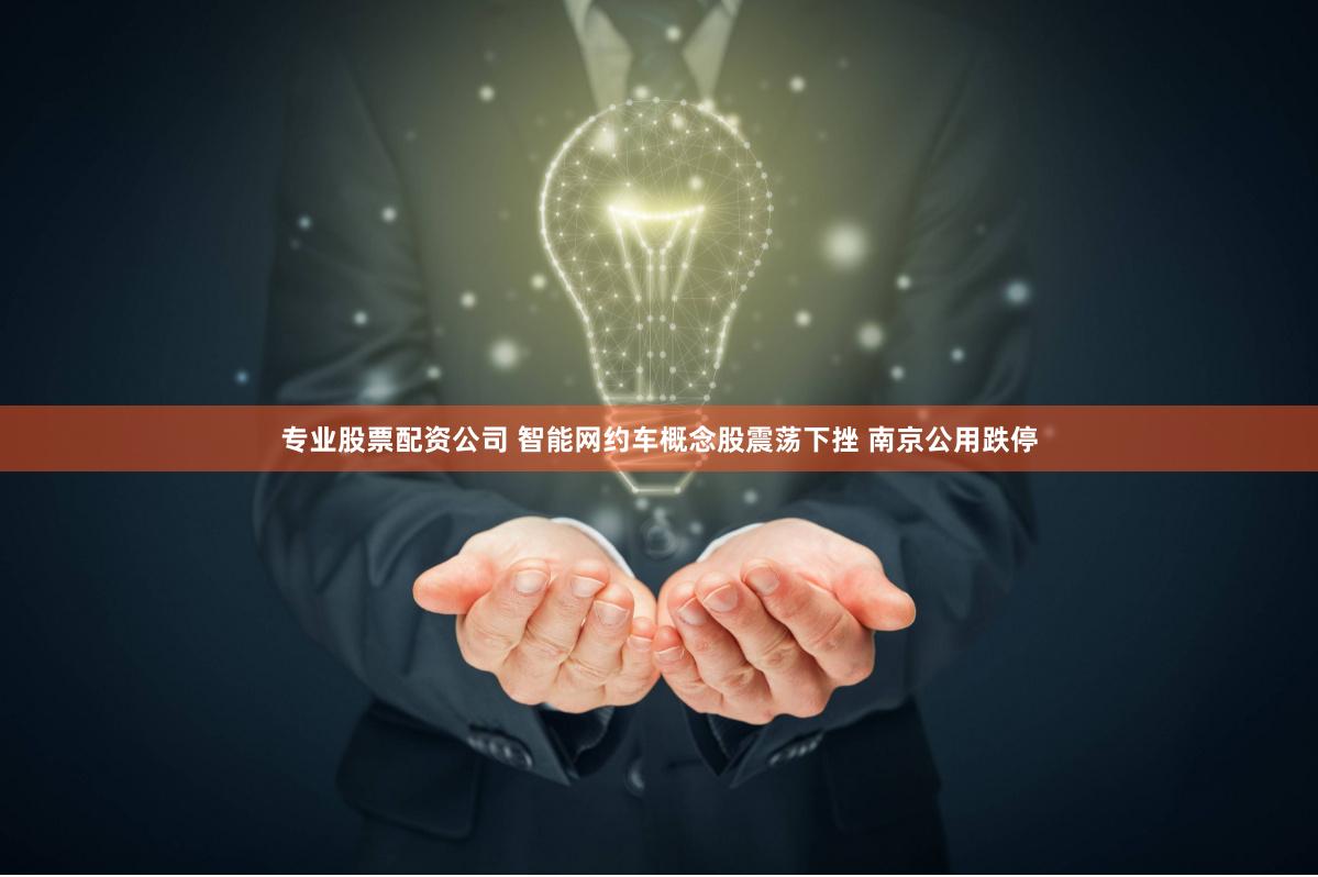 专业股票配资公司 智能网约车概念股震荡下挫 南京公用跌停