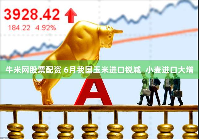 牛米网股票配资 6月我国玉米进口锐减  小麦进口大增