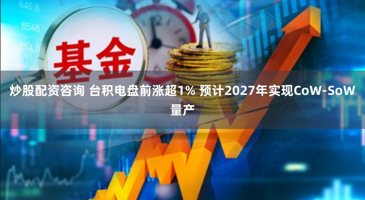 炒股配资咨询 台积电盘前涨超1% 预计2027年实现CoW-